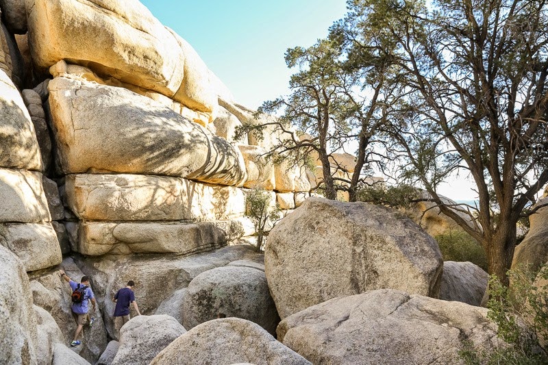 jumping in joshua tree-17