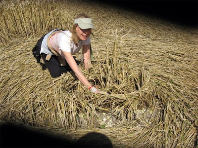 crop circle pictures