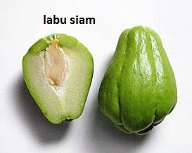 labu siam