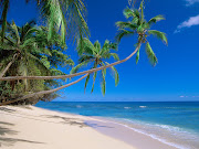 Fiji is usually what you picture when you are dreaming of beautiful beaches, . (fiji)