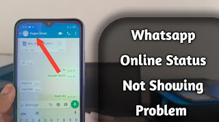 Whatsapp Online Status दिखाई नहीं दे रहा है क्या करें