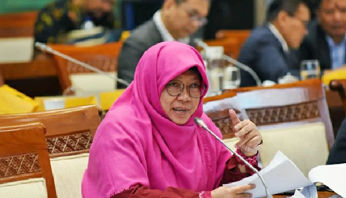 Anggota Komisi XI DPR RI Anis Byarwati
