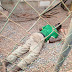 Transformer vandal meets fatal shock in Ogun State