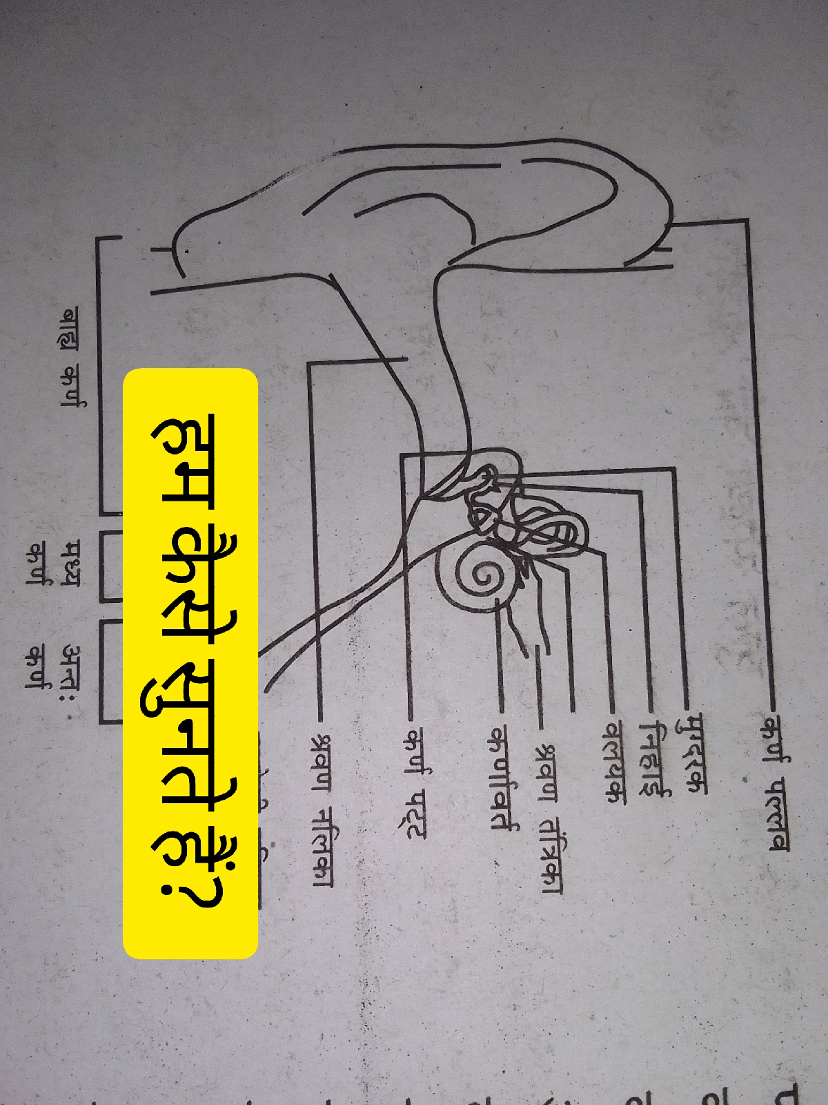 चित्र