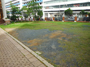 PANORAMICA