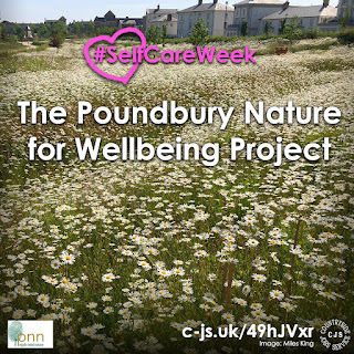 a field of white flowers with yellow centres in front of housing. Text reads: #SelfCareWeek - The Poundbury Nature for Wellbeing Project