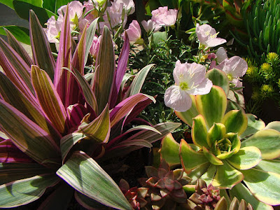 Site Blogspot Patio Garden Design on Starting Up A Whole New Planting Scheme For Our Patio Garden Key To