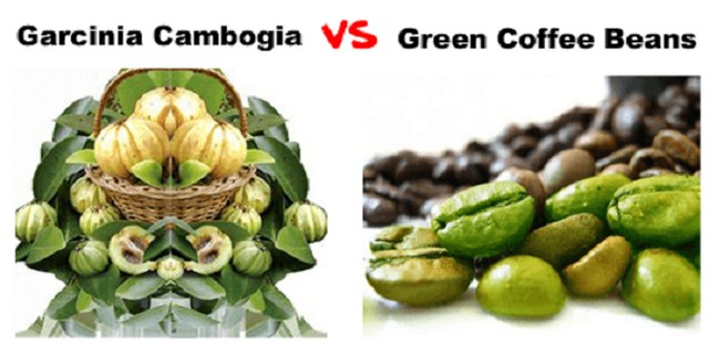 green-coffee-bean-and-garcinia-cambogia