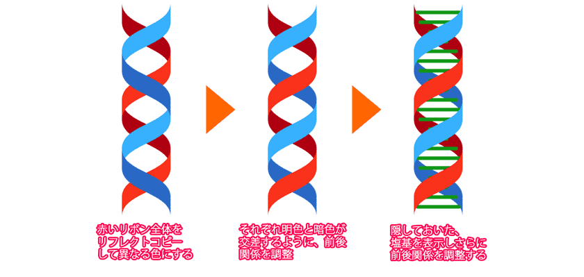 イラレで Dna 二重らせんを描く方法 Illustrator Cc 使い方 セッジデザイン