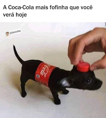 Fofinhos e bons companheiros, os animais de estimação conquistam seus tutores. Mas há muito mais por trás dessa história. Ter um desses em casa pode beneficiar sua saúde e bem-estar de um jeito transformador e especial.