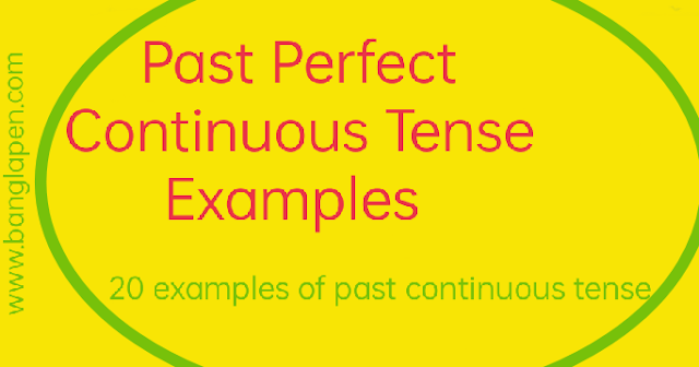 past perfect continuous tense examples