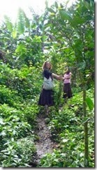 clip_image002[4]