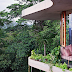 The Planchonella House by Jesse Bennett Architect.