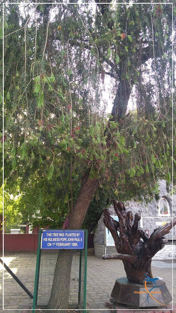 Catedral do Sagrado Coração em Delhi, na Índia