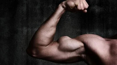 The pi muscle is responsible for the movement of the forearm and hand. It is also responsible for grip strength and for holding objects in the hand. The pi muscle is located in the forearm and attaches to the humerus. The pi muscle is important for daily activities such as opening a door or turning a doorknob. The pi muscle is also important for athletes and for those who participate in activities such as rock climbing and weightlifting.