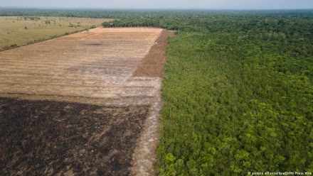 Αμαζόνιος: Σπάει το ένα ρεκόρ μετά το άλλο ο ρυθμός αποψίλωσης των τροπικών δασών
