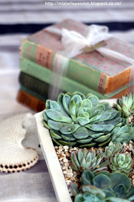 DIY Succulent Planter