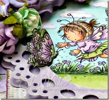 Butterfly close up