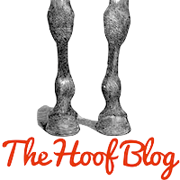 Hoof Blog