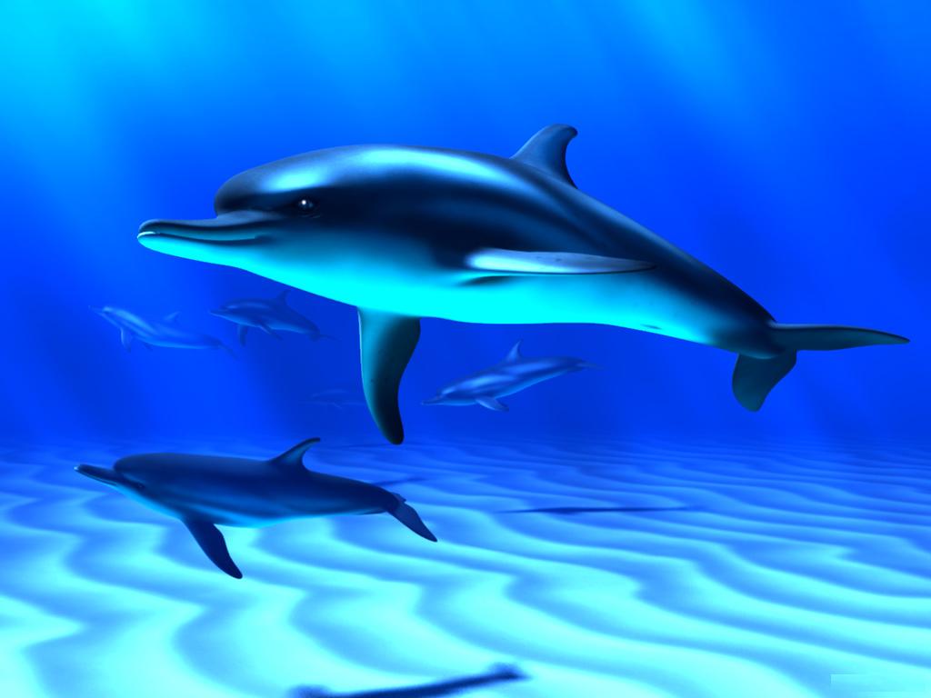 fish wallpaper 3d