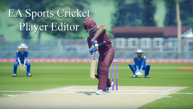 ea-sports-cricket-player-editor