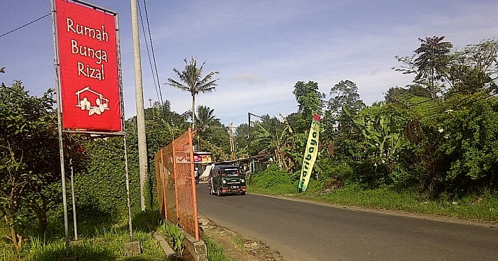 Pondok Dahar Lauk Jogja: Surga Anggrek dan Sukulen 'Rumah 