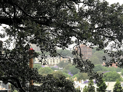 Rainy day outside AGNSW with view to Potts Point and Woolloomooloo in springtime