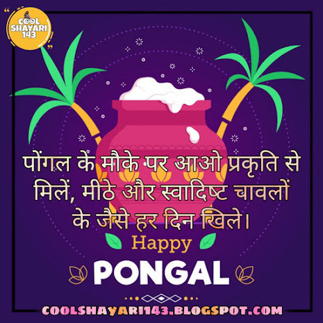 happy pongal messages, pongal wishes, pongal quotes, pongal shayari, pongal photos, pongal messages, pongal status, pongal sms, pongal videos, pongal images,