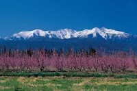 the Pyrenees