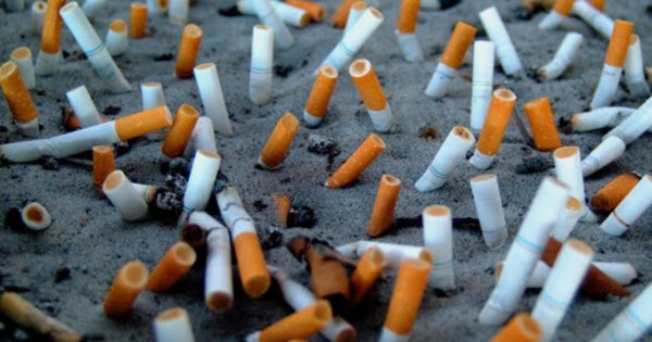 Buanglah Puntung Rokok  Pada Tempat Sampah akriko com