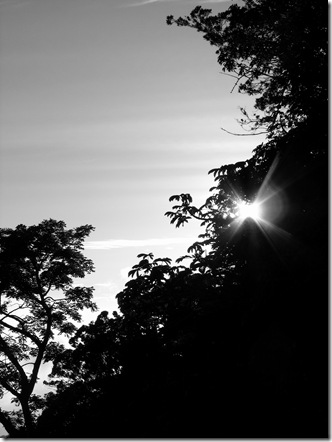 2010_1231carlosysonia0028