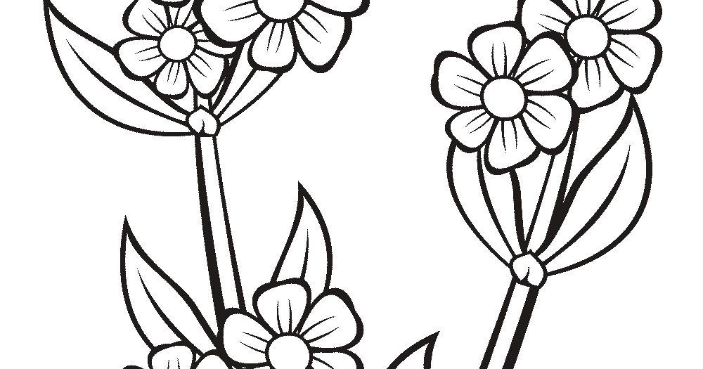  Sketsa  Gambar  Bunga  Anggrek Dalam  Pot  Sempoa Dunia