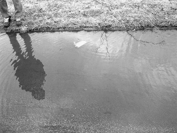 Riflessi