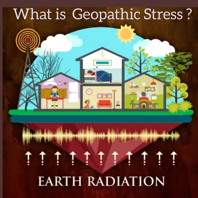 Geopathic Stress  Effects of  Home Vastu