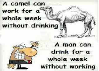 Camel And Men Joke Funny.jpg