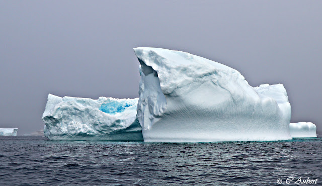 Iceberg, Savissivik, Groenland