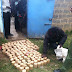 SUNDAY SCHOOL TEACHER NABBED WITH 150 'STONES' OF BHANG IN MAKONGENI PHASE 12