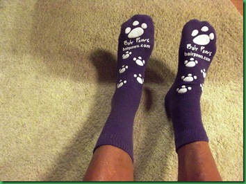 The purple sox 005