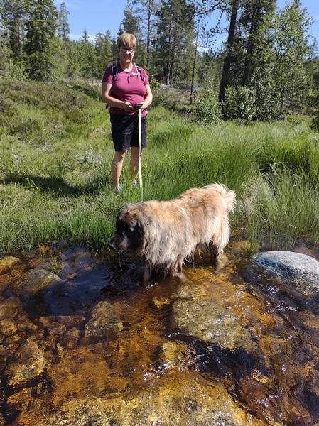 hallingdal flå turufjell stolpejakt