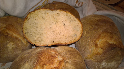 Pane civraxiu, pagnotta di semola con lievito madre 6