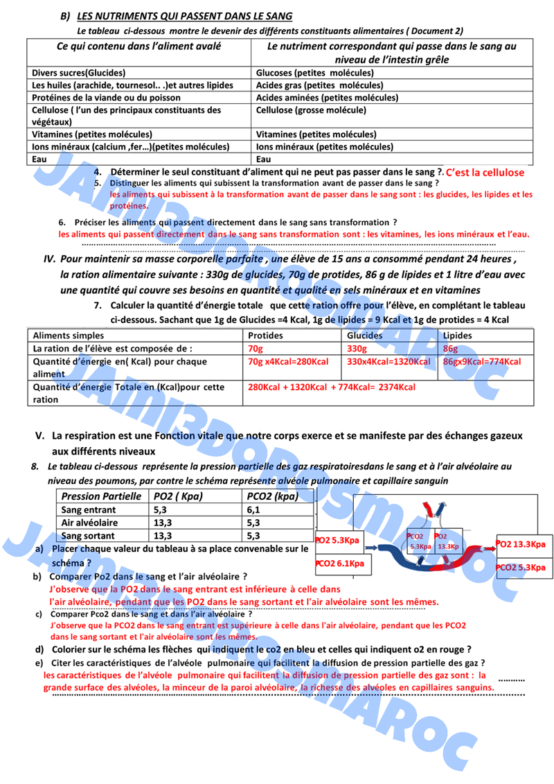 examen local svt 3ac + correction PDF