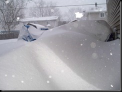 Blizzard 2011 - 5