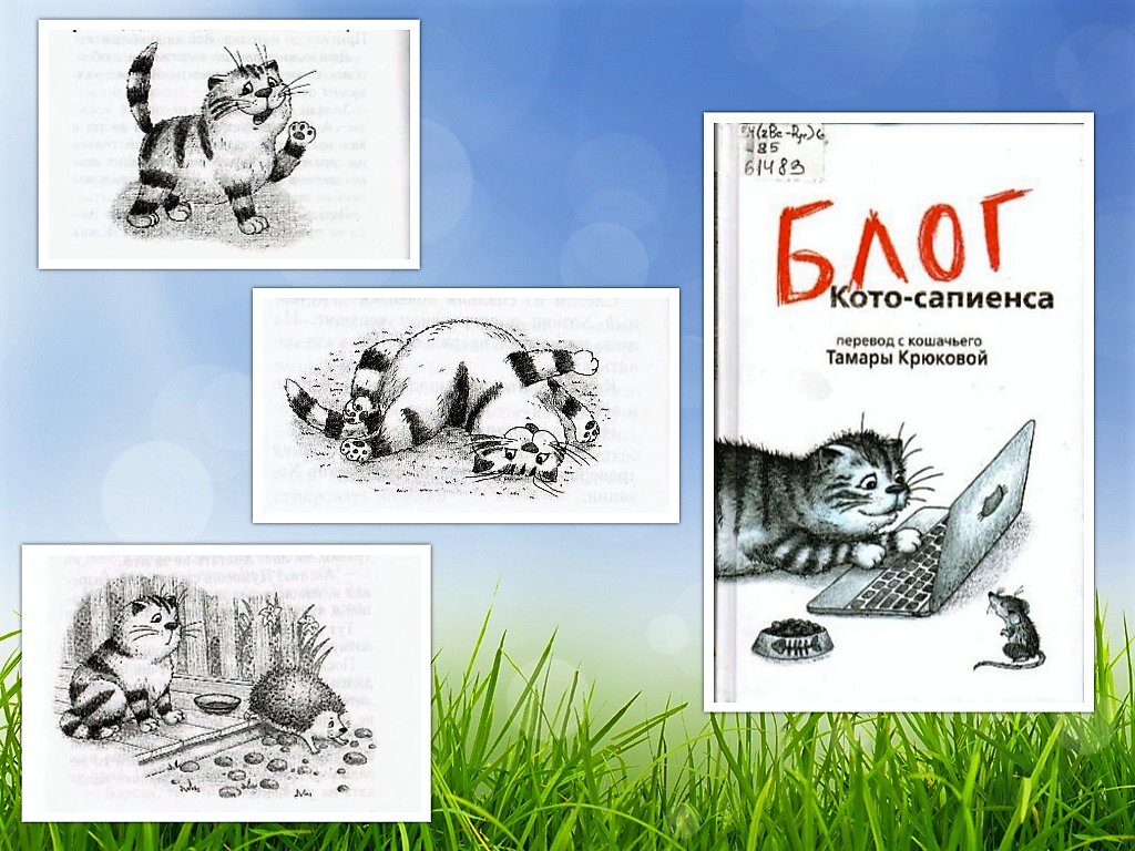 Дневник Котосапиенс Книга Купить