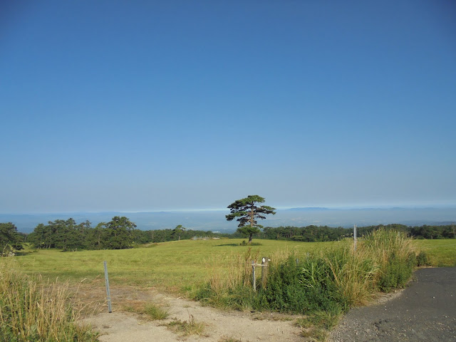 大山牧場