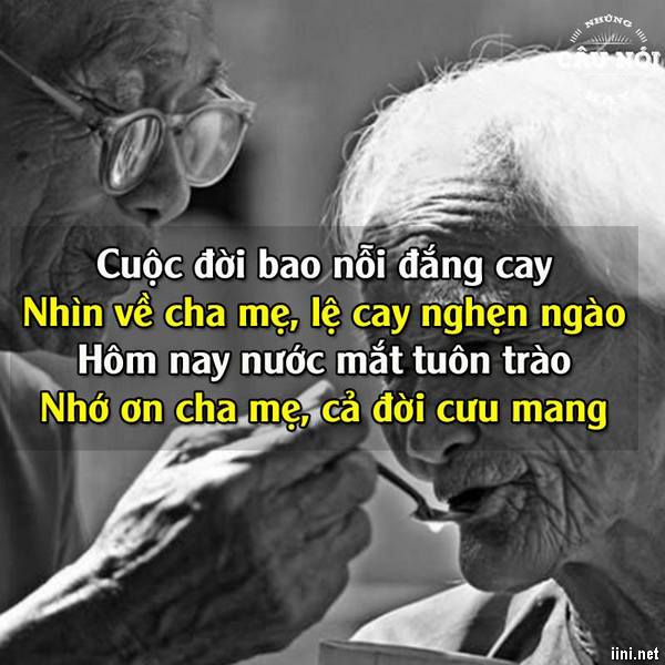 ảnh status nhớ ơn cha mẹ