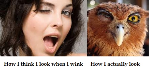 Winking - Expectation vs Reality