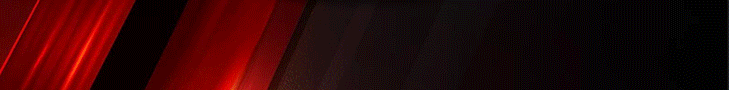 freebet