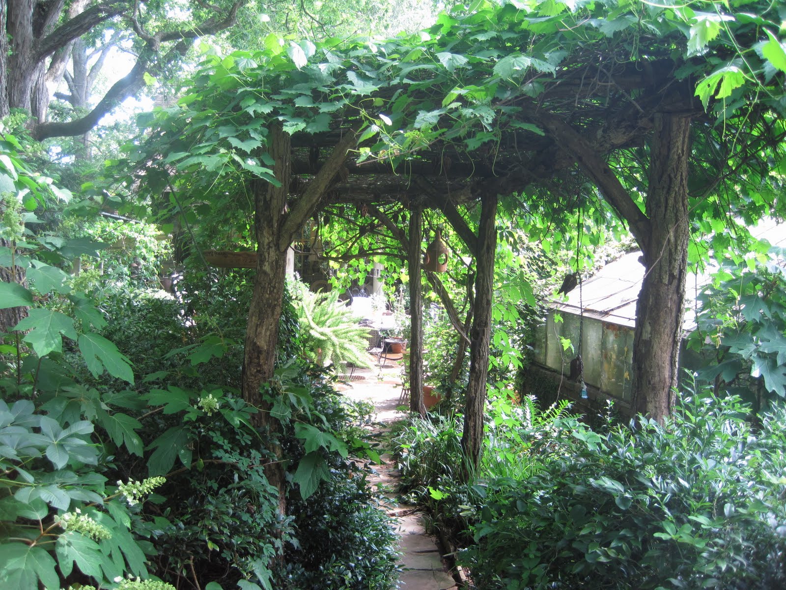 Grape Arbor