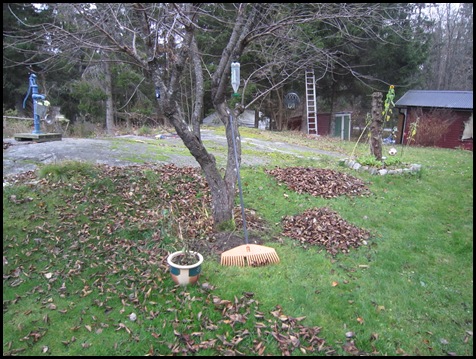 Höst 2011 041