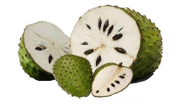 Soursop Fruit Health Benefits